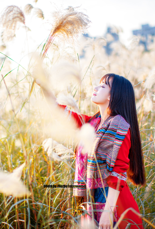 点击大图看下一张：秋色芦苇荡