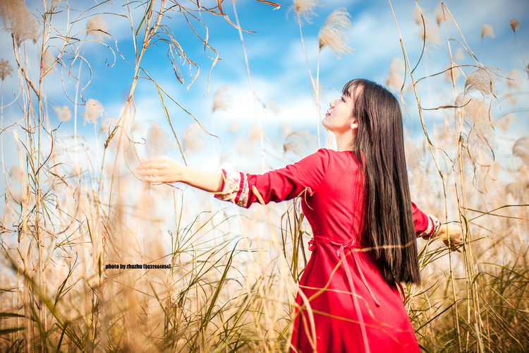 点击大图看下一张：秋色芦苇荡