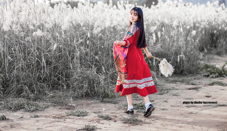 点击大图看下一张：秋色芦苇荡