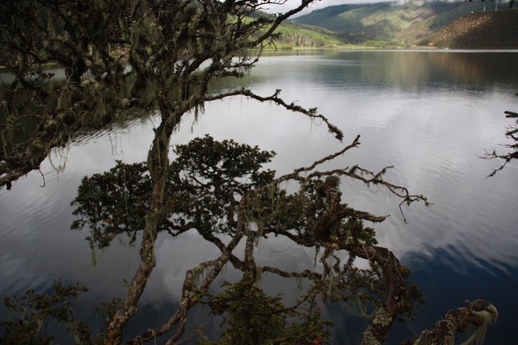 点击大图看下一张:香格里拉之普达措