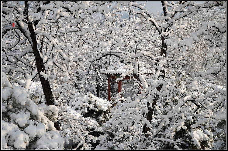 点击大图看下一张：忆帝都一三年的雪