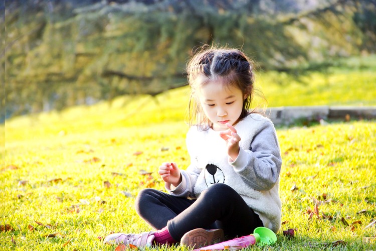 点击大图看下一张：阳光午后