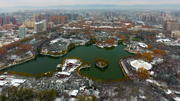 点击大图看下一张：又进兴庆宫