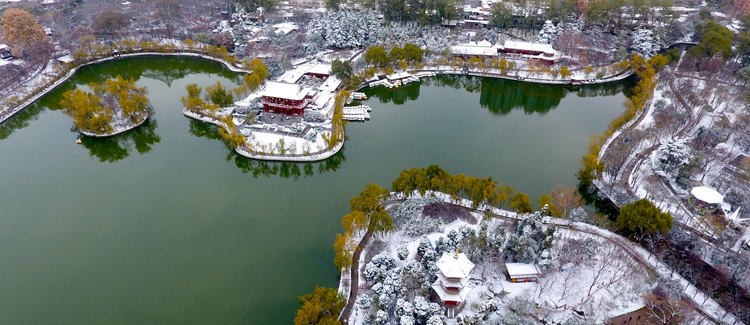 点击大图看下一张：又进兴庆宫