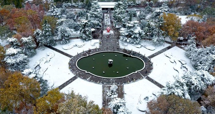 点击大图看下一张：又进兴庆宫