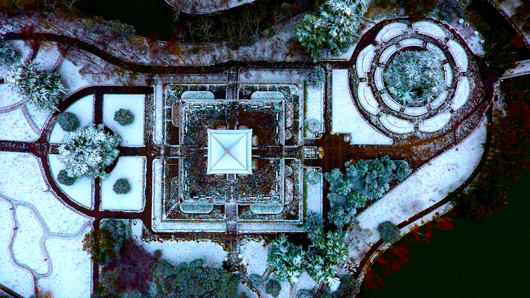 点击大图看下一张:又进兴庆宫