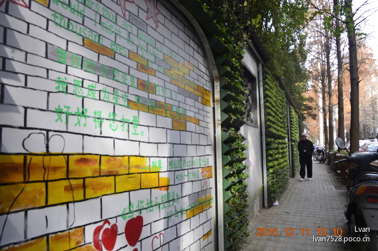 点击大图看下一张：上海最浪漫的路