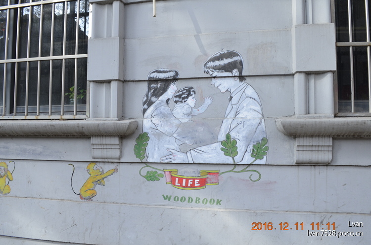 点击大图看下一张：上海最浪漫的路