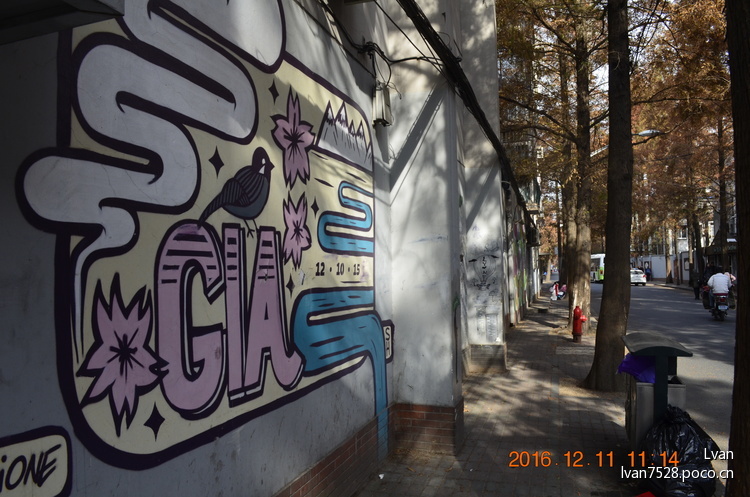 点击大图看下一张:上海最浪漫的路