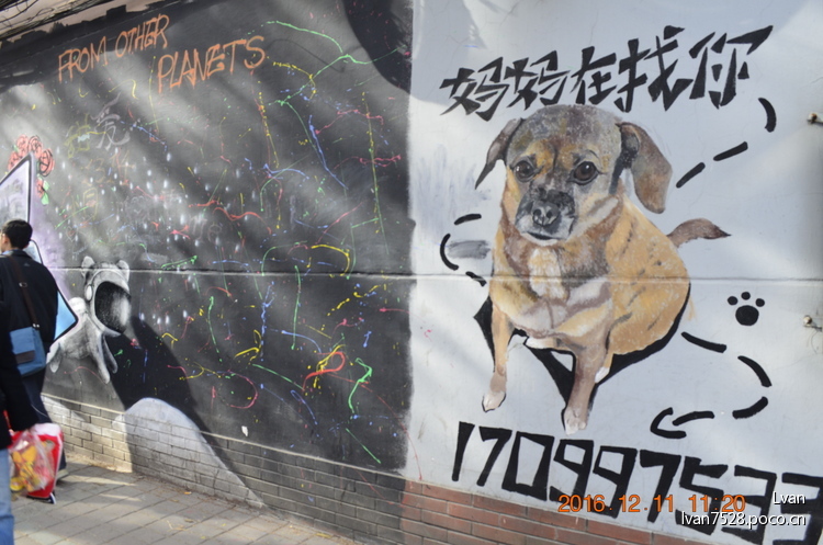 点击大图看下一张:上海最浪漫的路