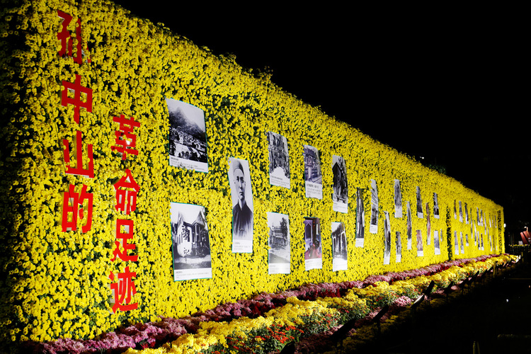 点击大图看下一张:2016小榄菊花会