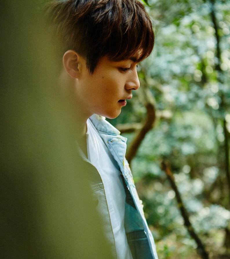 点击大图看下一张：马天宇森林风旅行大片