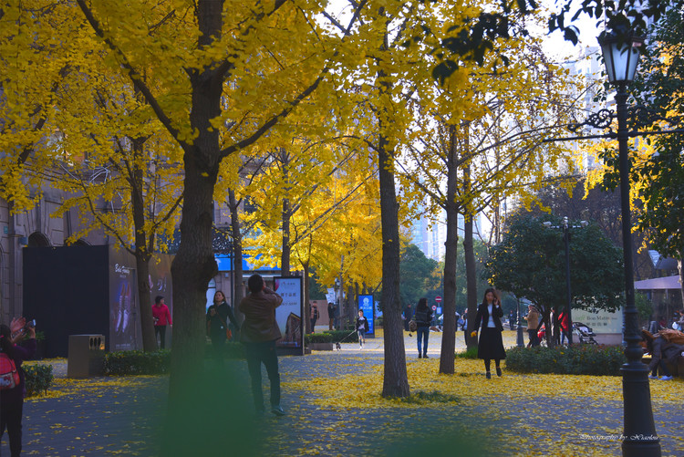 点击大图看下一张：古北黄金城道