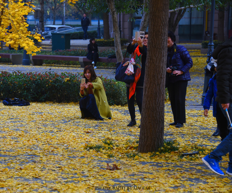 点击大图看下一张：古北黄金城道