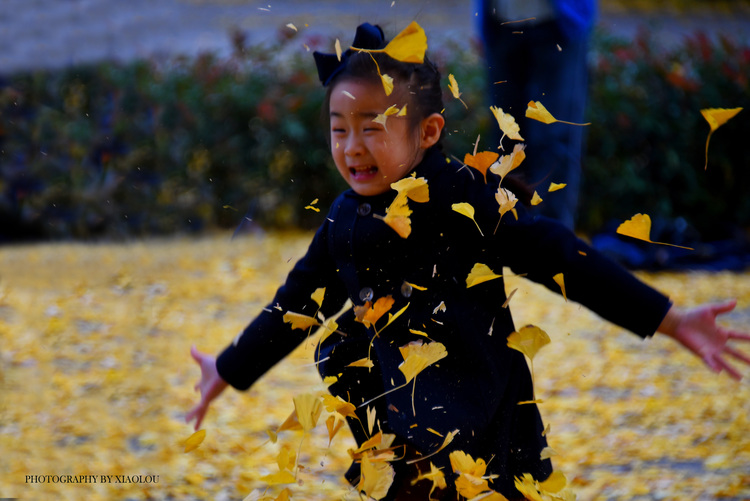 点击大图看下一张：古北黄金城道