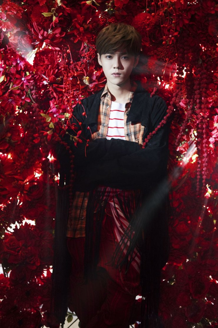 点击大图看下一张:鹿晗曝复古写真展成长力 蜷川实花掌镜