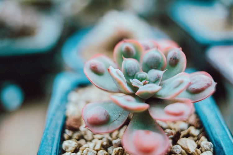 点击大图看下一张:无声的陪伴