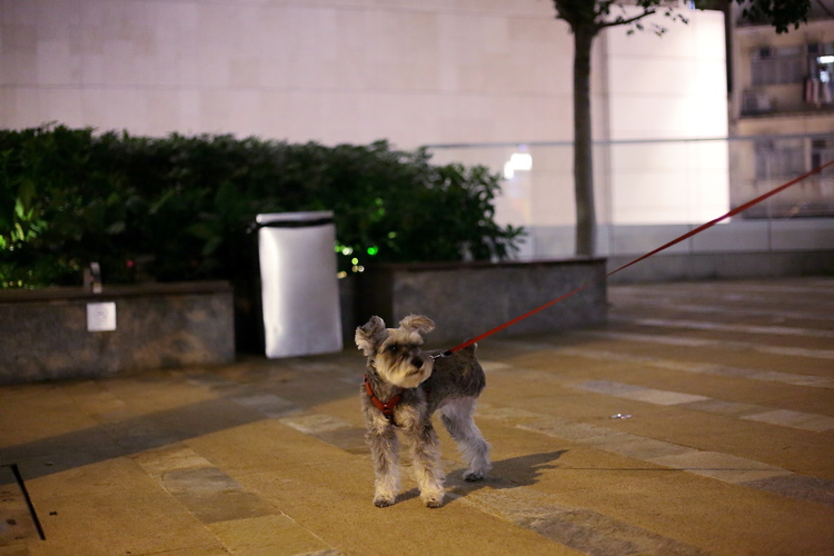 点击大图看下一张：香港夜景随拍