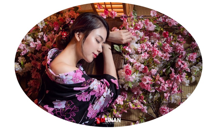 点击大图看下一张：梦里花几许