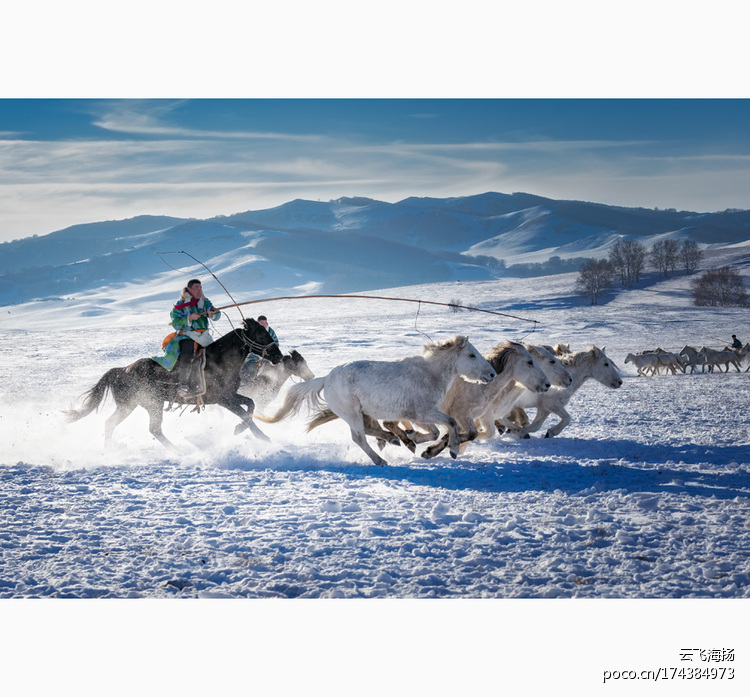 点击大图看下一张：马背上的民族