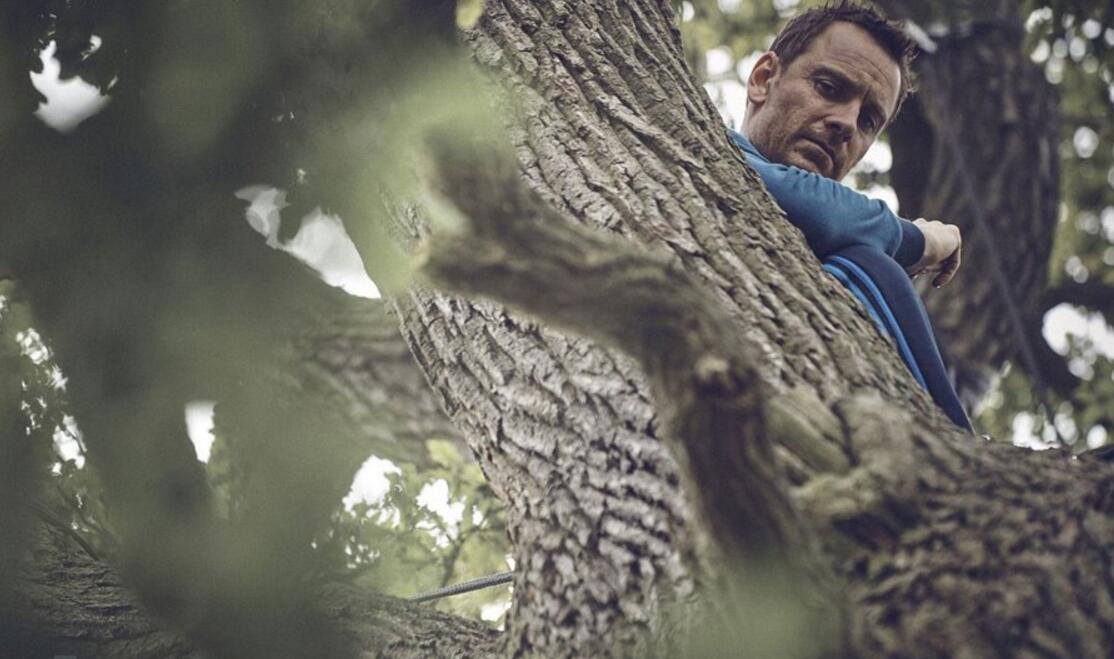 点击大图看下一张:法鲨新片血浓于罪剧照