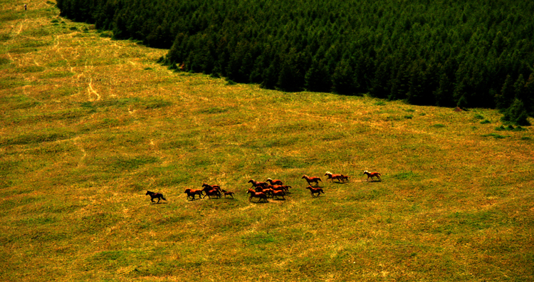 点击大图看下一张:直升机无人机航拍