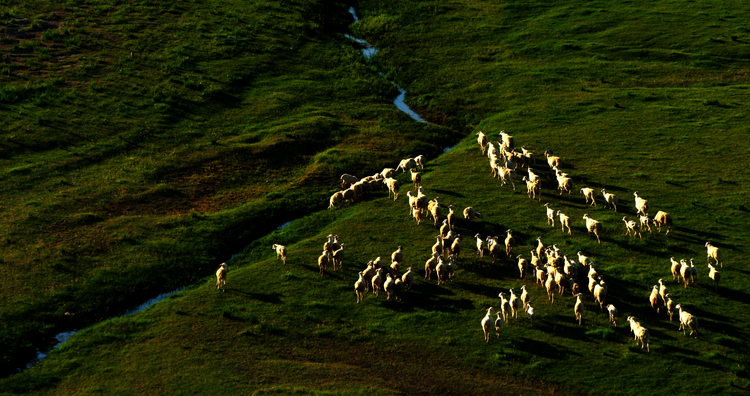 点击大图看下一张：直升机无人机航拍