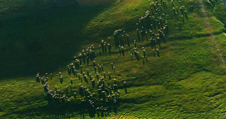 点击大图看下一张:直升机无人机航拍