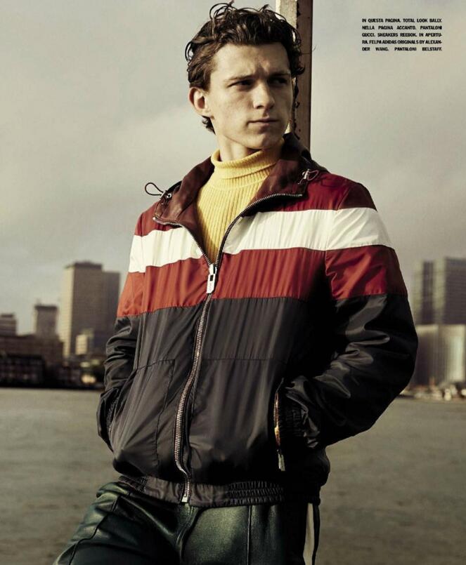 点击大图看下一张：荷兰弟汤姆赫兰德