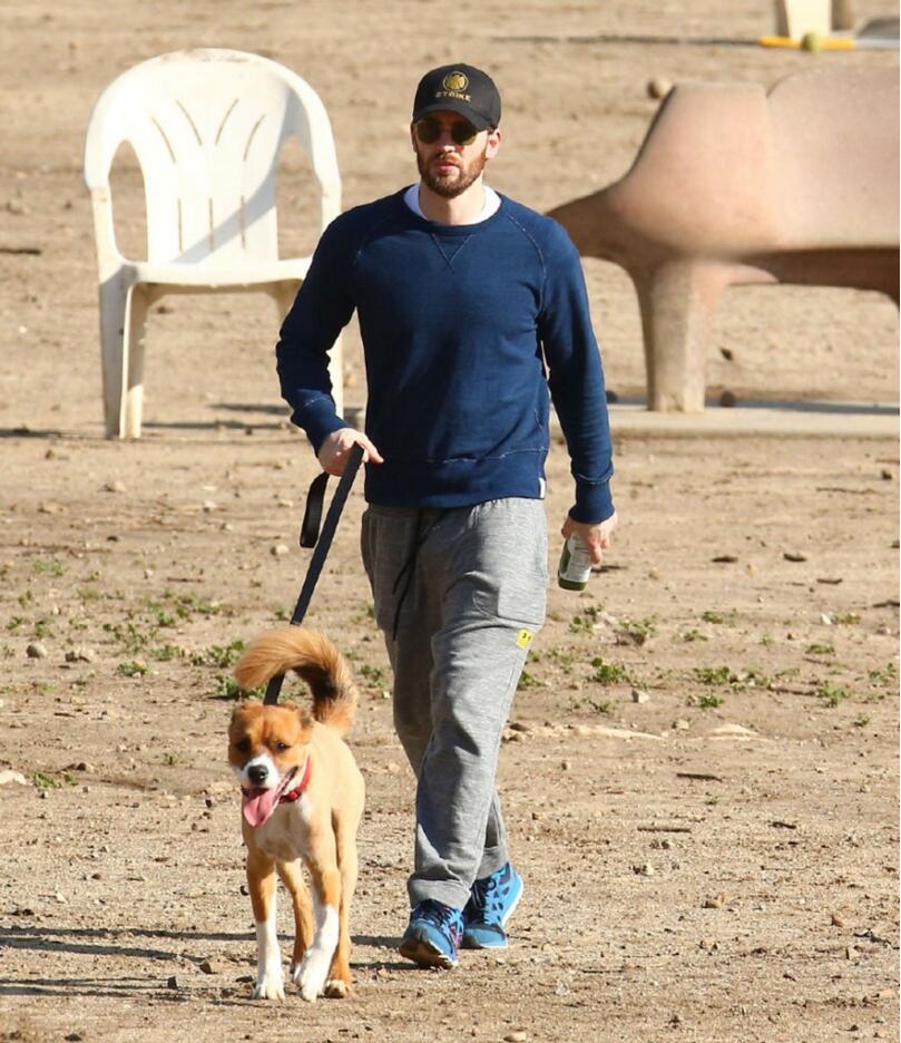 点击大图看下一张：克里斯埃文斯带着狗散步