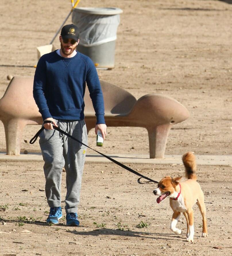 点击大图看下一张：克里斯埃文斯带着狗散步