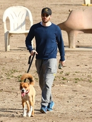 克里斯埃文斯带着狗散步