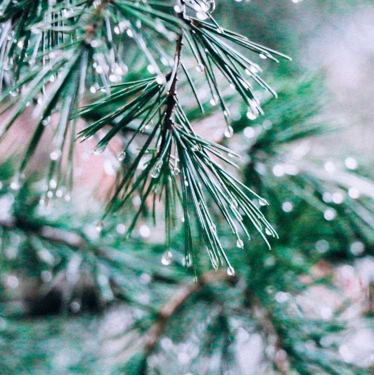 点击大图看下一张:雨季不再来