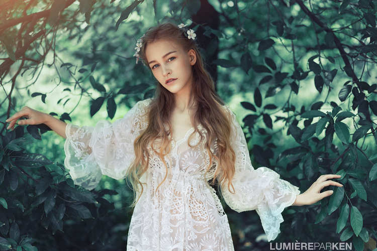 点击大图看下一张：再见2016的光