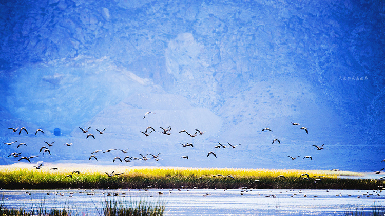 点击大图看下一张：伊雷木湖湖畔