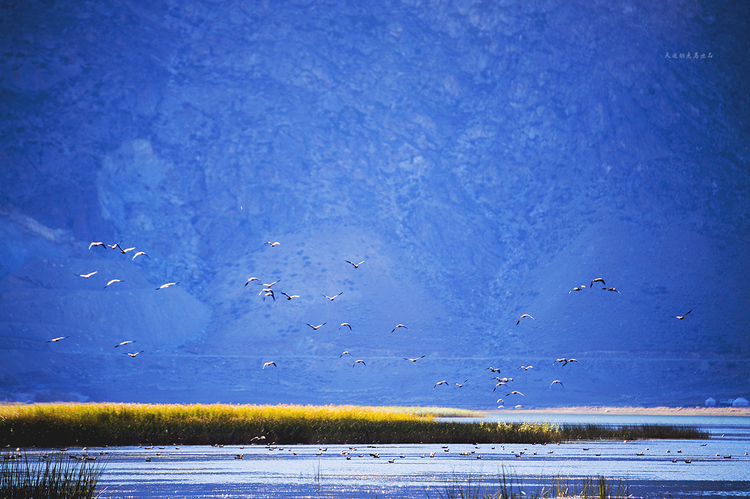 点击大图看下一张：伊雷木湖湖畔