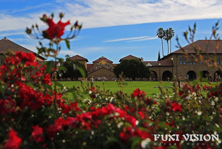 点击大图看下一张：旧金山的一睹