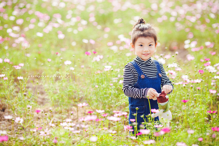 点击大图看下一张:海珠湖花海莹莹