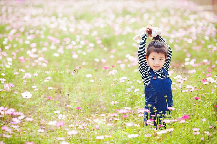 点击大图看下一张：海珠湖花海莹莹