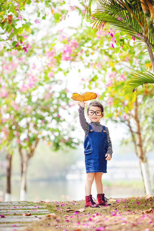 点击大图看下一张：海珠湖花海莹莹