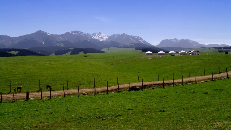 点击大图看下一张：游走新疆南山牧场