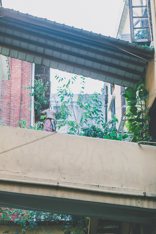 点击大图看下一张:疯兔的日常