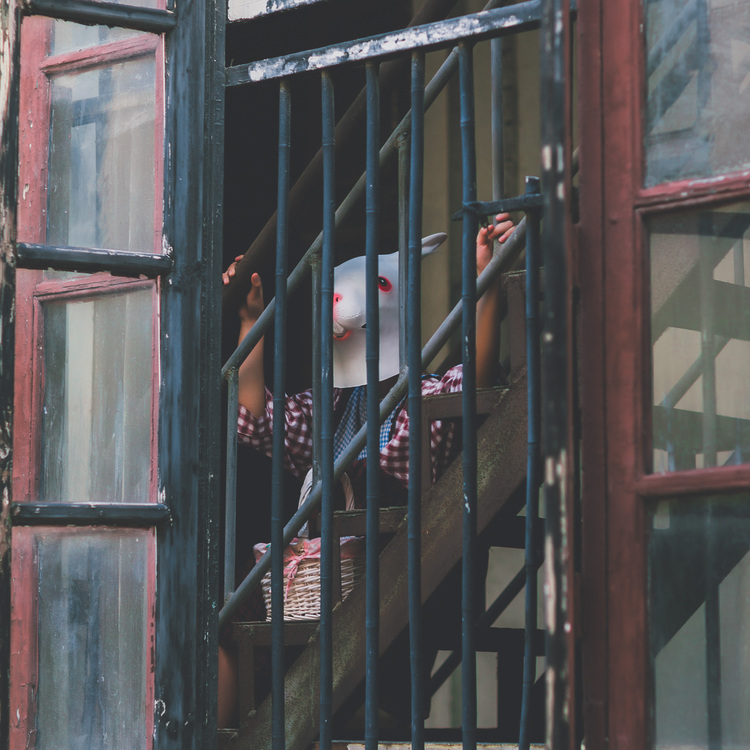 点击大图看下一张:疯兔的日常