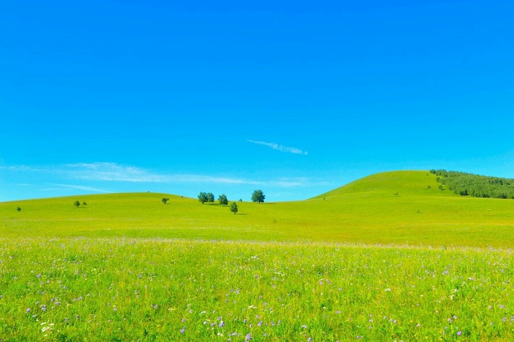点击大图看下一张：乌兰布统草原之夏
