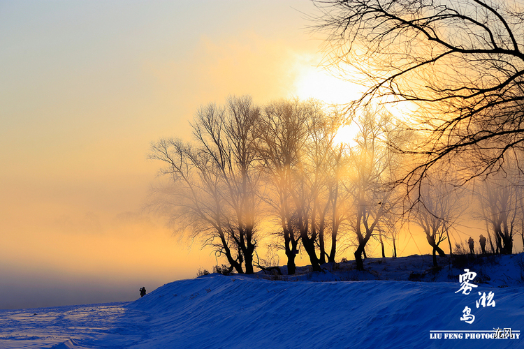 点击大图看下一张：雾凇岛的雾