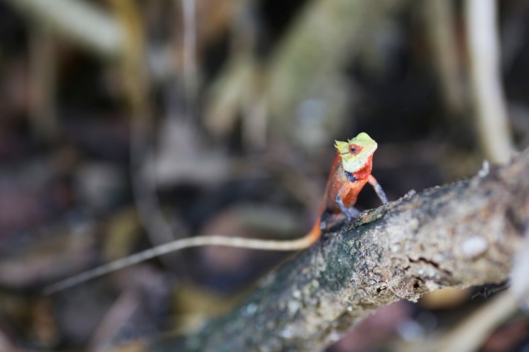 点击大图看下一张:值得一去再去的地方