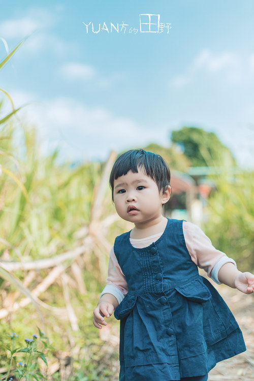 点击大图看下一张:远方的田野