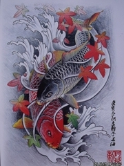 枫叶和鲤鱼的纹身手稿图