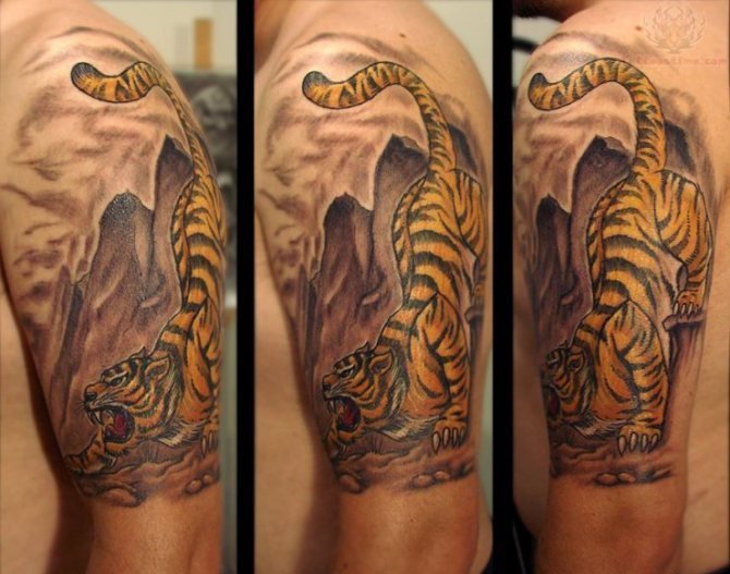 点击大图看下一张：手大臂膀上帅气的现实风格老虎纹身图案