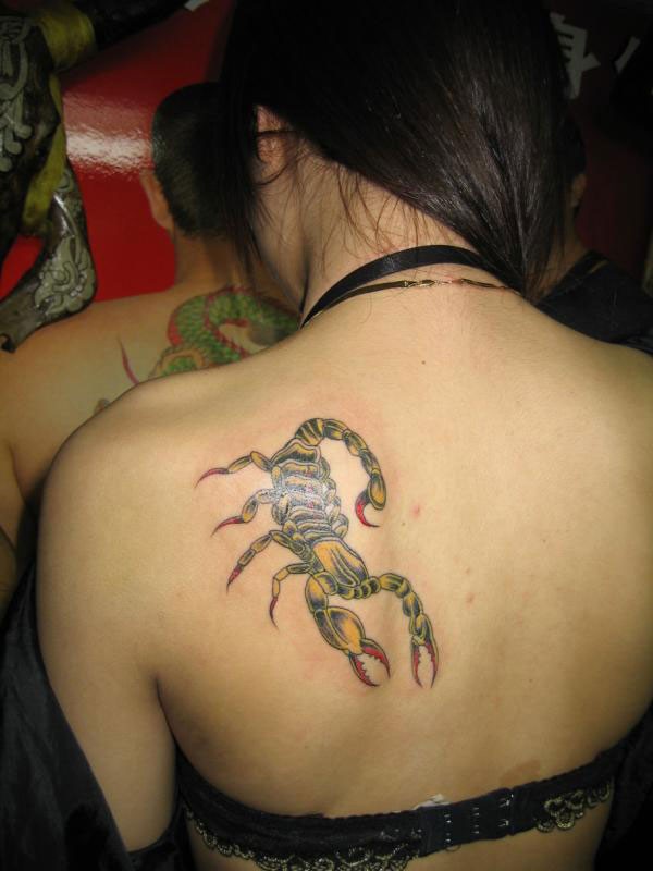 点击大图看下一张：个性女孩肩部蝎子纹身图片